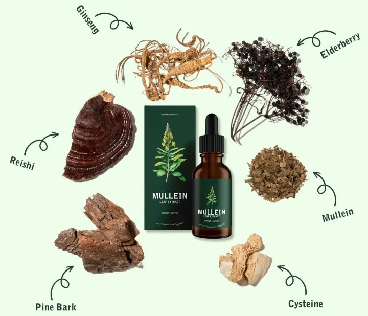 ✅ 𝐂𝐯𝐫𝐞𝐨𝐳® Mullein + Chlorophyll 𝐑𝐞𝐬𝐩𝐢𝐫𝐚𝐭𝐨𝐫𝐲 𝐃𝐫𝐨𝐩𝐬 🌿 – 𝟗𝟓% 𝐑𝐞𝐩𝐨𝐫𝐭 𝐇𝐞𝐚𝐥𝐭𝐡𝐢𝐞𝐫 𝐋𝐮𝐧𝐠𝐬 𝐢𝐧 𝟑𝟎 𝐃𝐚𝐲𝐬㊇