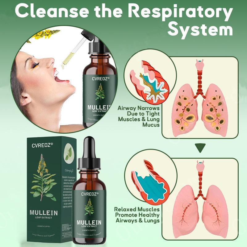 ✅Official Store: 𝐂𝐯𝐫𝐞𝐨𝐳® Mullein + Chlorophyll 𝐑𝐞𝐬𝐩𝐢𝐫𝐚𝐭𝐨𝐫𝐲 𝐃𝐫𝐨𝐩𝐬 🌿 – (🍃💝 Cough, wheezing, shortness of breath, sputum, stuffy nose, bronchitis, bronchitis, allergy symptoms, lung discomfort💝)