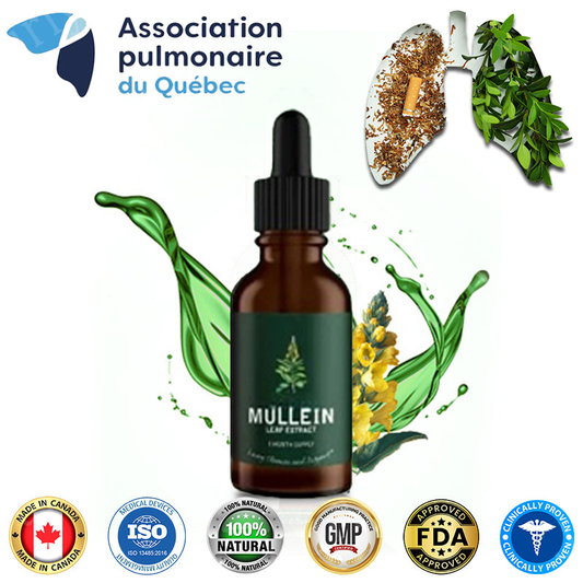🚨🚨 FLASH SALE: Upgrade to VIP Lungs health NOW – 50% Off ⏳ (Only 72 Hours Left!)-【✨Recharge Your Vitality with  𝐌𝐮𝐥𝐥𝐞𝐢𝐧 𝐋𝐞𝐚𝐟 𝐑𝐞𝐬𝐩𝐢𝐫𝐚𝐭𝐨𝐫𝐲 𝐃𝐫𝐨𝐩𝐬】