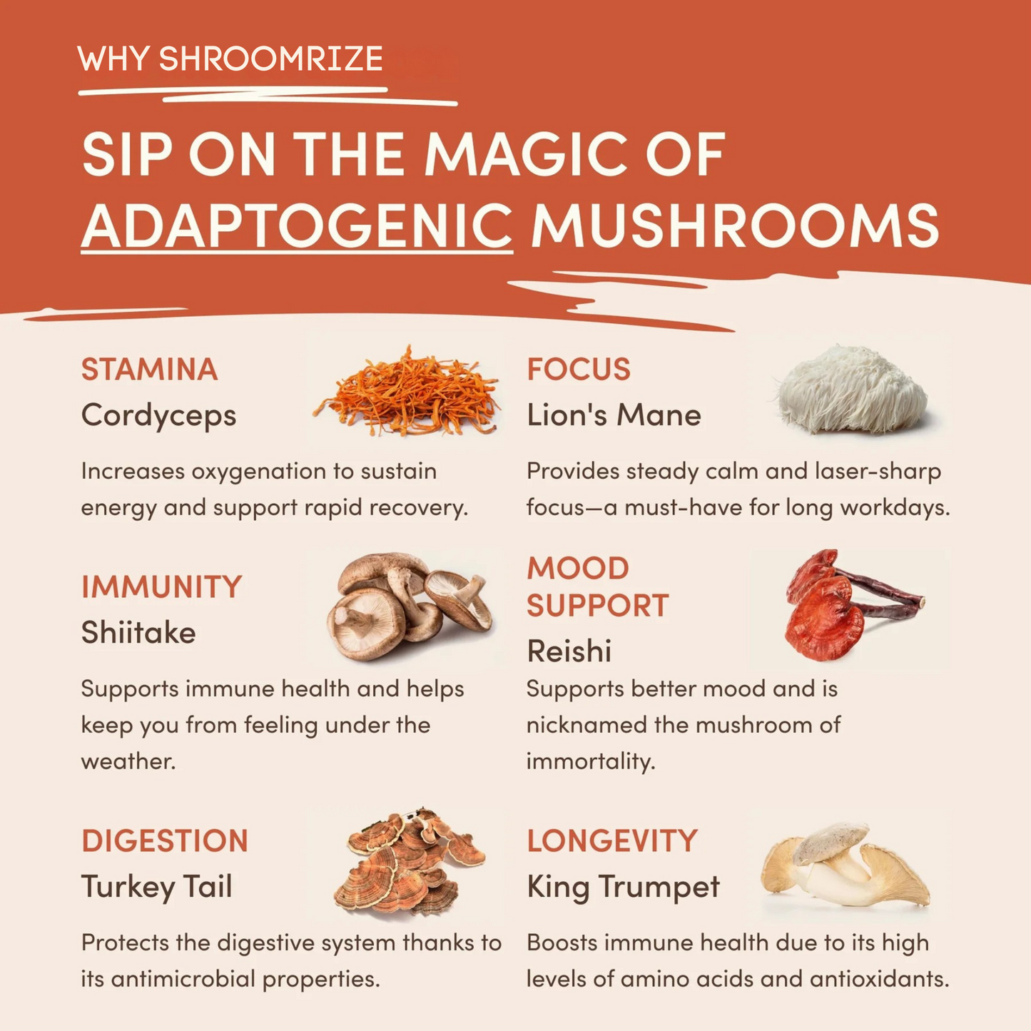💪Recharge Your Vitality丨💎Cvreoz® Mushroom Coffee