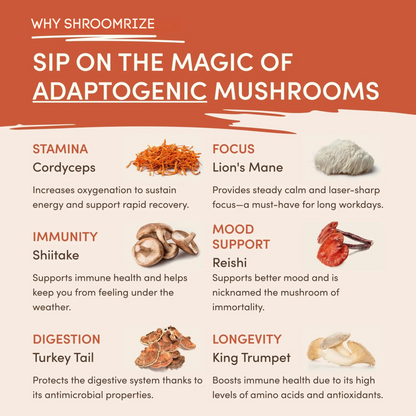 💪Recharge Your Vitality丨💎Cvreoz® Mushroom Coffee